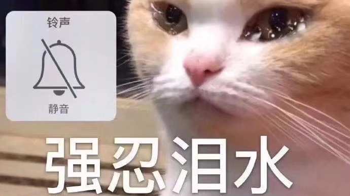 刘波日常